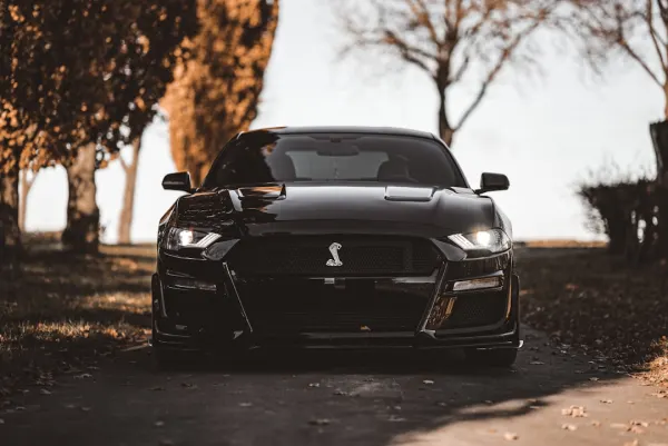 OG Kasino Android/iOS Aplikácia